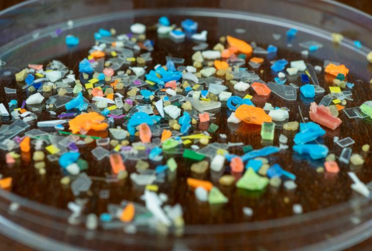 Illustrazione di alcune microplastiche (Canva FOTO) - marinecue.it