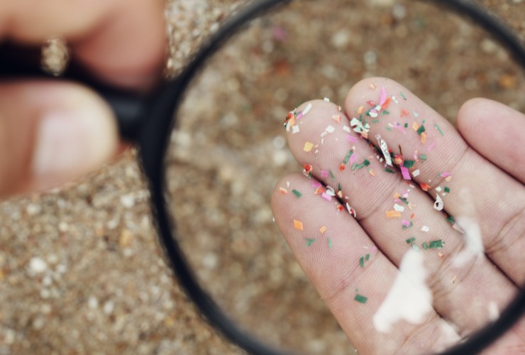 Illustrazione di alcune microplastiche (Canva FOTO) - marinecue.it