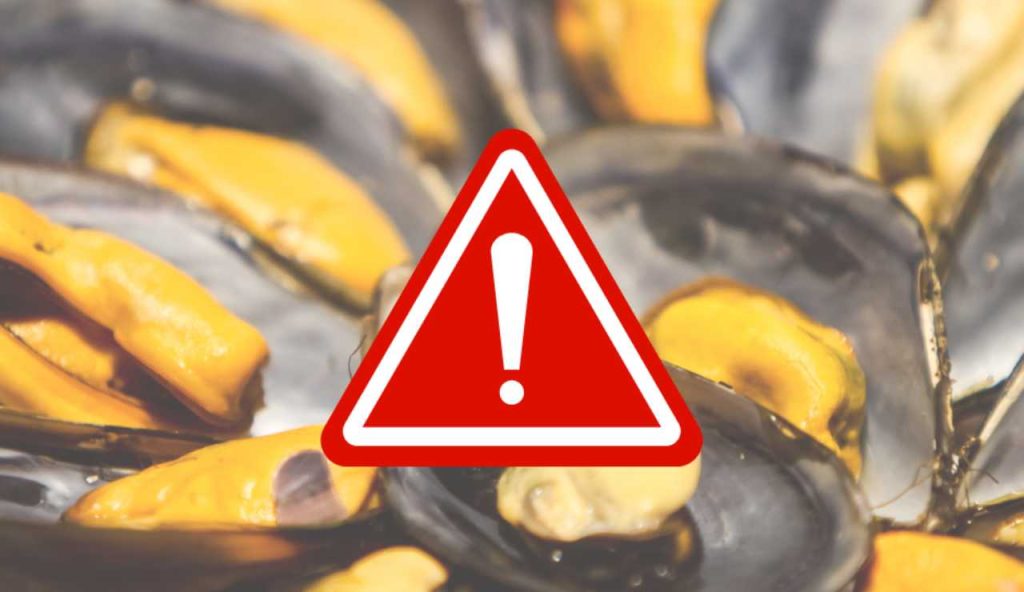 Illustrazione di cozze pericolose (Canva FOTO) - marinecue.it
