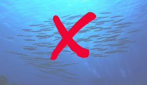 Illustrazione di specie aliene (Canva FOTO) - marinecue.it