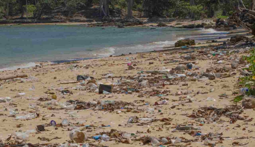 Illustrazione di un ecosistema distrutto (Canva FOTO) - marinecue.it
