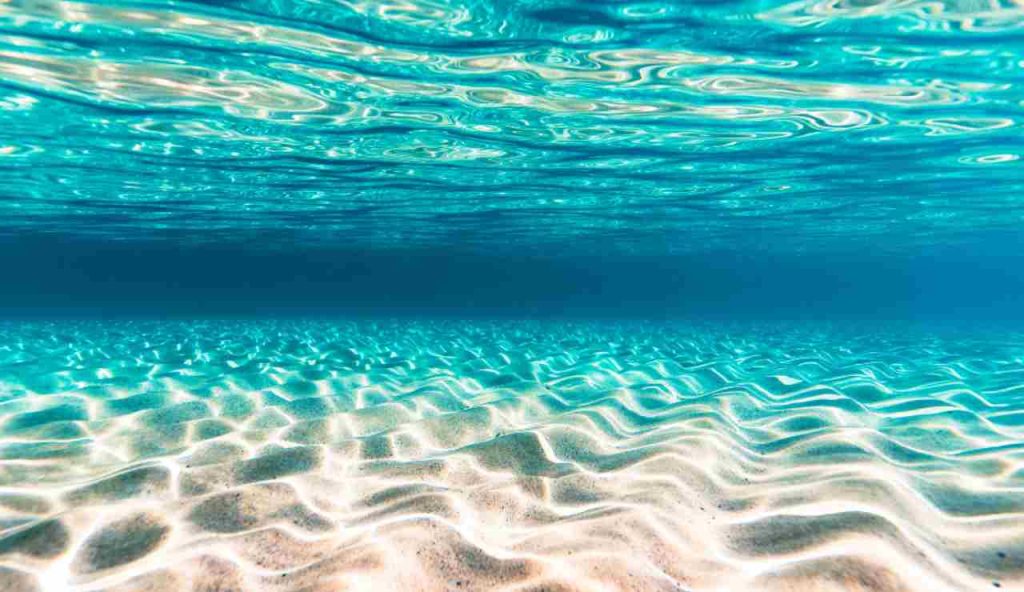 Illustrazione di un mare colorato (Canva FOTO) - marinecue.it