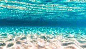 Illustrazione di un mare colorato (Canva FOTO) - marinecue.it