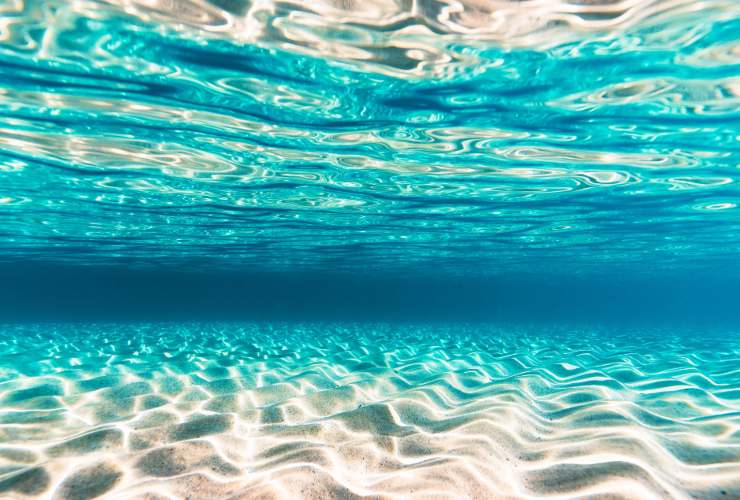 Illustrazione di un mare protetto (Canva FOTO) - marinecue.it
