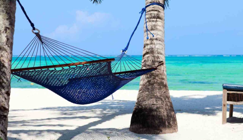Illustrazione di un paradiso (Canva FOTO) - marinecue.it