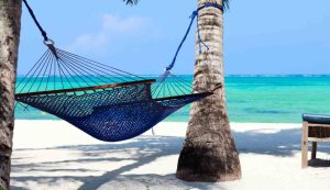 Illustrazione di un paradiso (Canva FOTO) - marinecue.it