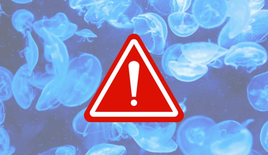 Illustrazione di un pericolo (Canva FOTO) - marinecue.it