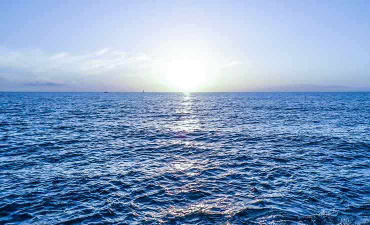 Mare