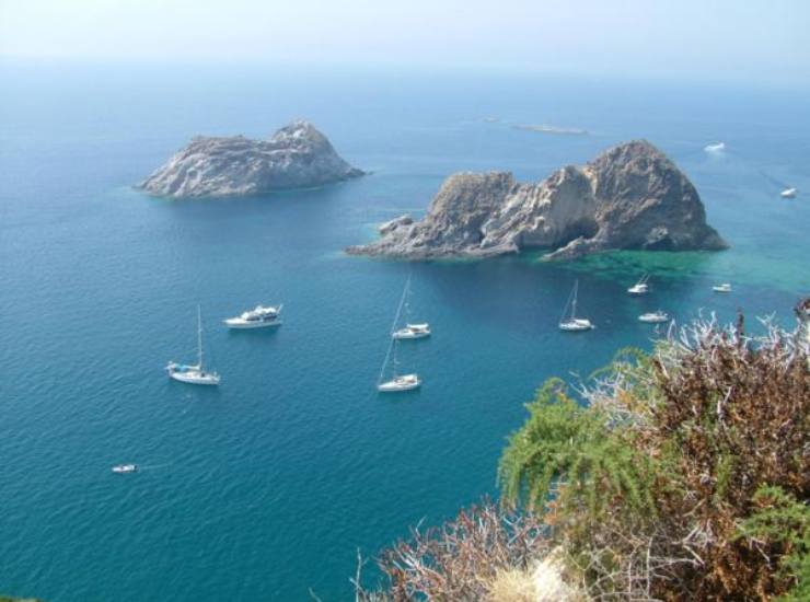 Palmarola