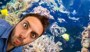 Specie marine