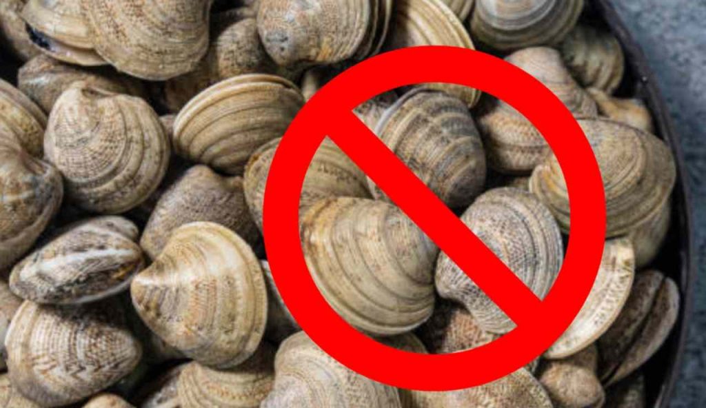 Stop alla pesca