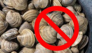 Stop alla pesca
