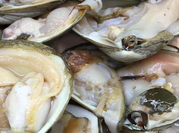 Vongole fresche (Pixabay foto) - www.marinecue.it