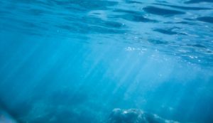 Illustrazione delle profondità del mare (Canva FOTO) - marinecue.it