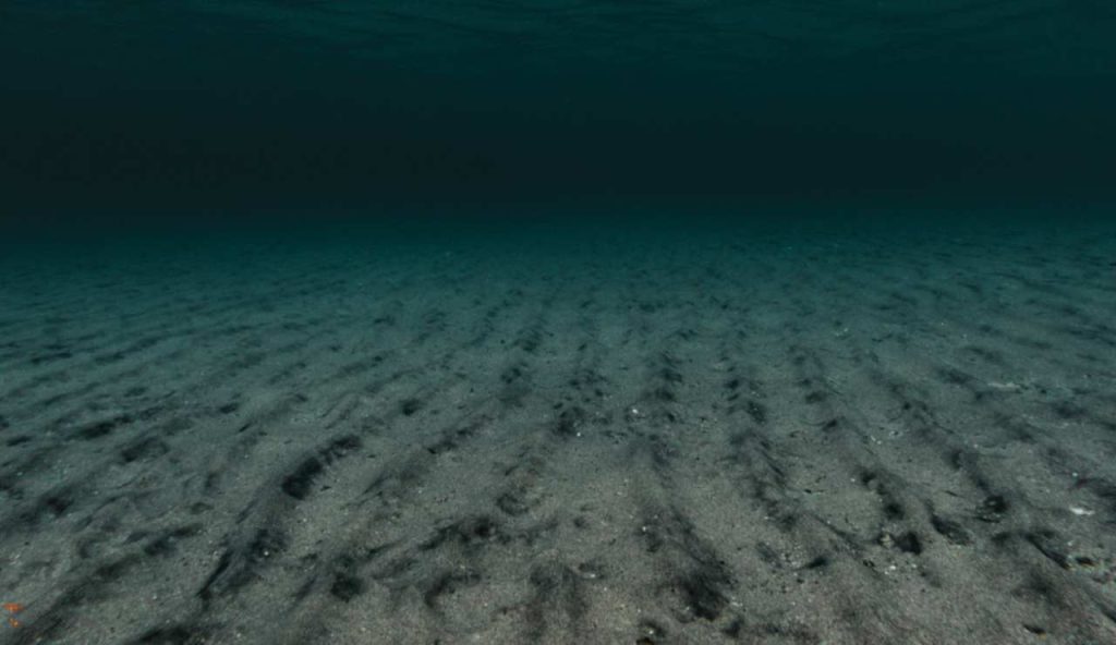 Illustrazione delle profondità del mare (Canva FOTO) - marinecue.it