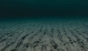 Illustrazione delle profondità del mare (Canva FOTO) - marinecue.it