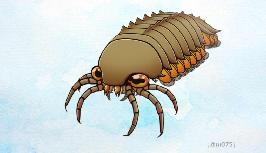 Illustrazione di Molissionia (WIkimedia Commons CC BY-SA 4.0, Junnn11 FOTO) - marinecue.it