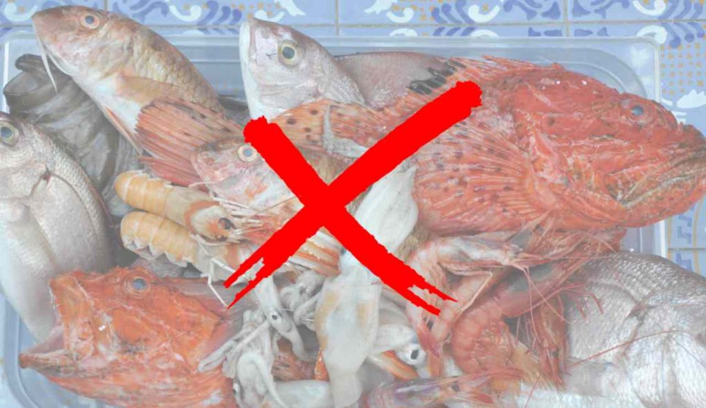 Illustrazione di alcuni pesci e crostacei (Canva FOTO) - marinecue.it