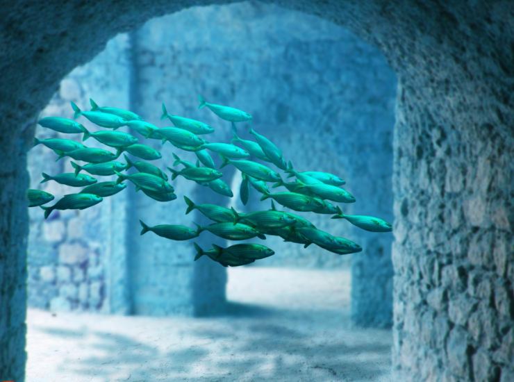 Illustrazione di alcuni pesci in una città sommersa (Canva FOTO) - marinecue.it