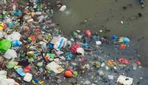 Illustrazione di un ecosistema distrutto (Canva FOTO) - marinecue.it