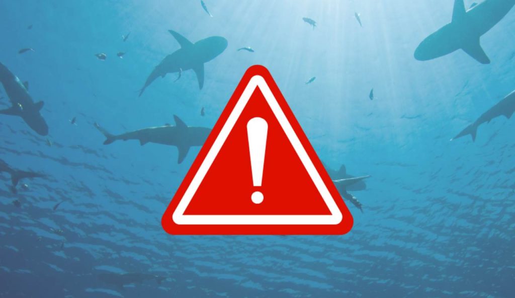 Illustrazione di un pericolo squali (Canva FOTO) - marinecue.it