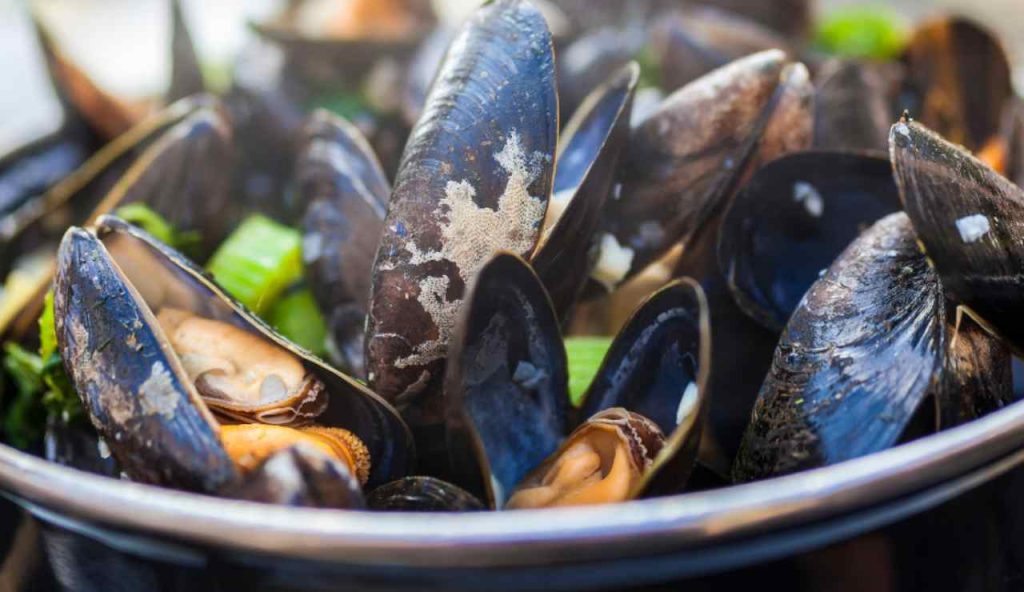Illustrazione di un piatto di cozze (Canva FOTO) - marinecue.it
