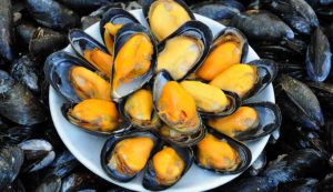 Illustrazione di un piatto di cozze (Canva FOTO) - marinecue.it