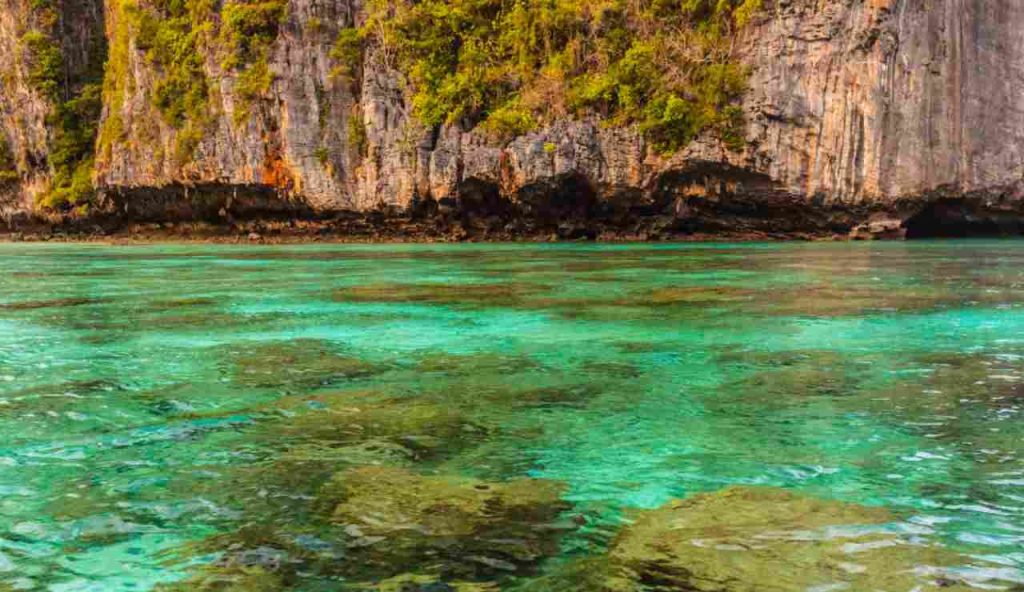 Illustrazione di un'isola incontaminata (Canva FOTO) - marinecue.it
