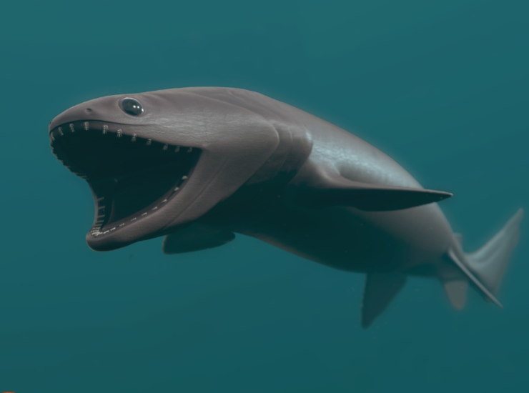Illustrazione di uno squalo dal collare (Canva FOTO) - marinecue.it