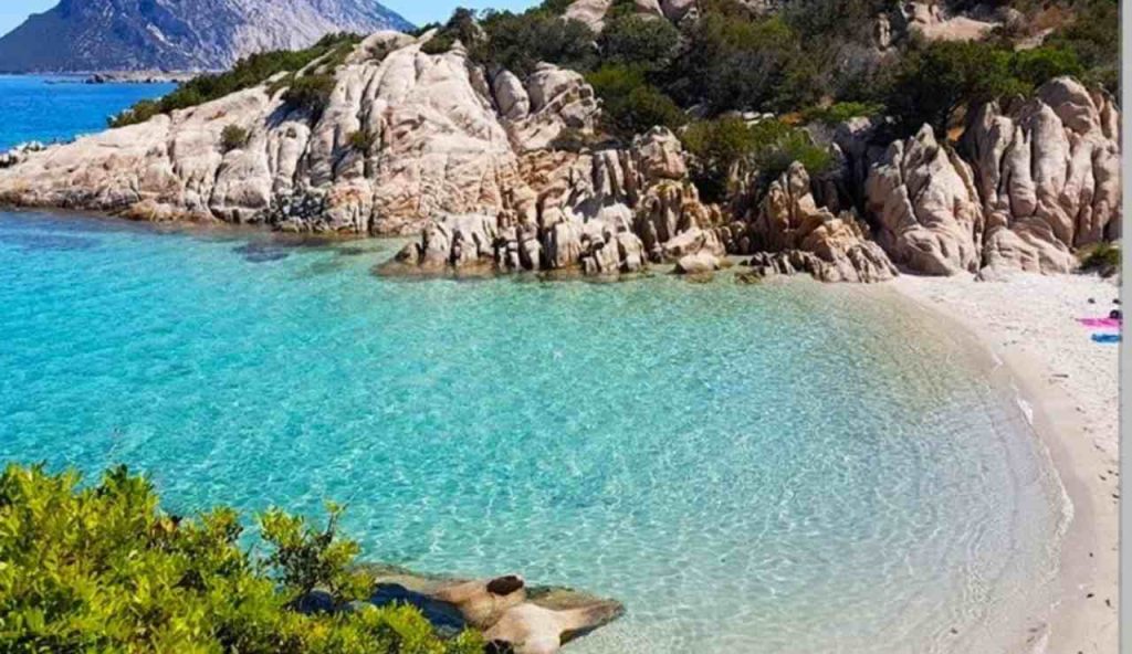 La “Spiaggia delle vacche” bandiera blu | La più bella e pulita del Mediterraneo: prendi il sole tra le mucche