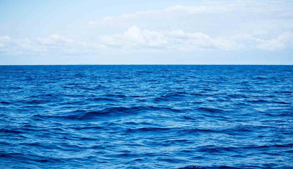 Mare