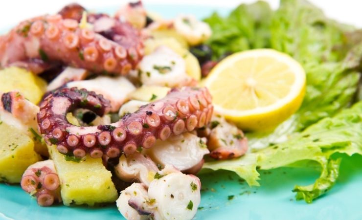 Polpo insalata