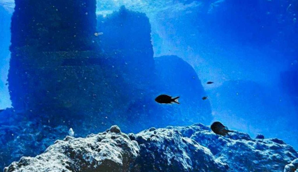 I resti sommersi (Luxor Times - MoTA - facebook screenshot) - www.marinecue.it