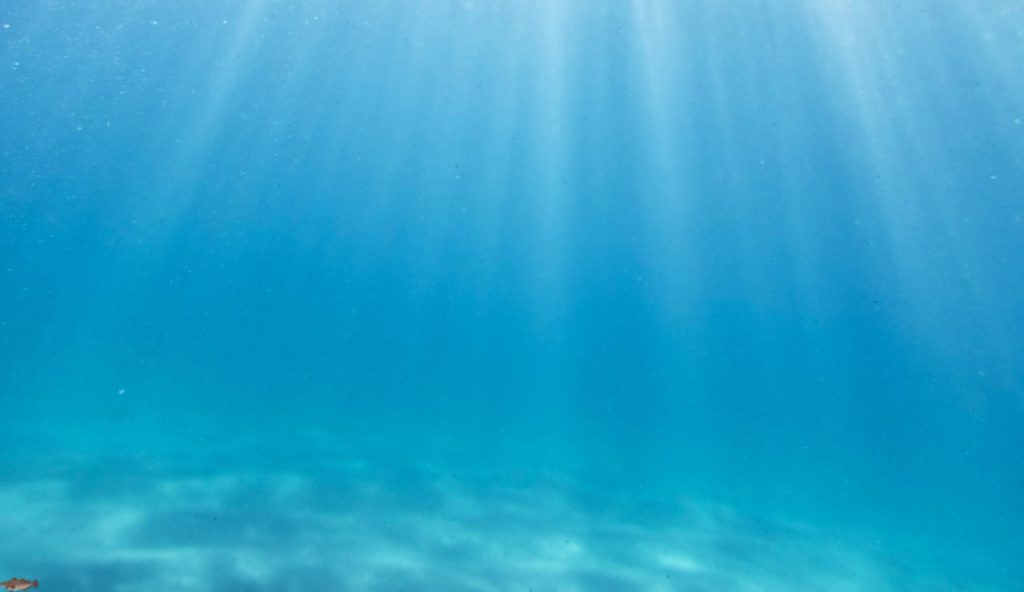 Illustrazione delle profondità marine (Canva FOTO) - marinecue.it