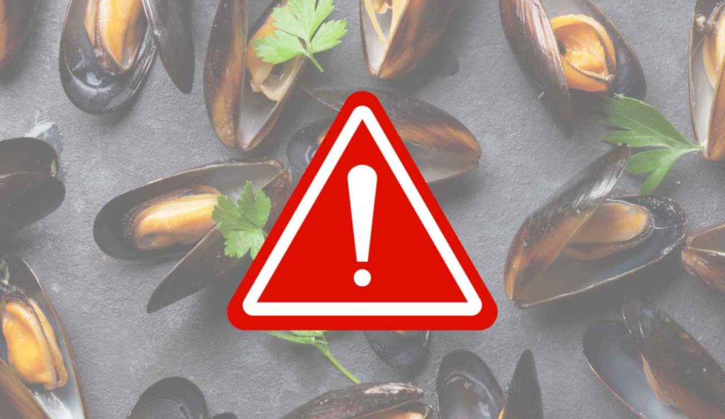 Illustrazione di alcune cozze pericolose (Canva FOTO) - marinecue.it