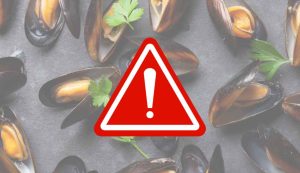 Illustrazione di alcune cozze pericolose (Canva FOTO) - marinecue.it
