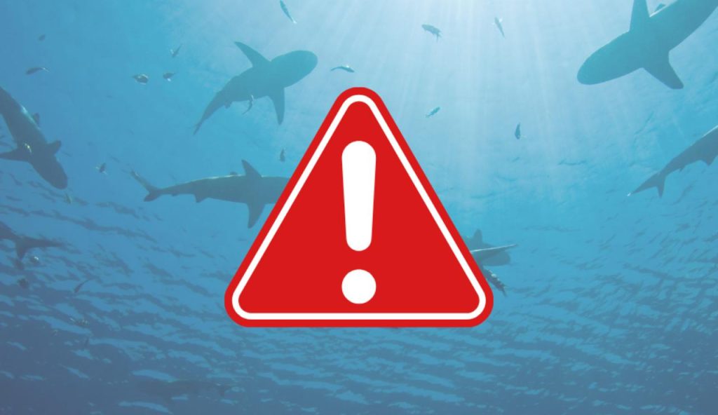 Illustrazione di un allarme squalo (Canva FOTO) - marinecue.it