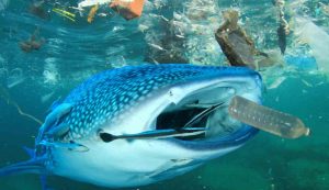 Illustrazione di un mare inquinato (canva FOTO) - marinecue.it