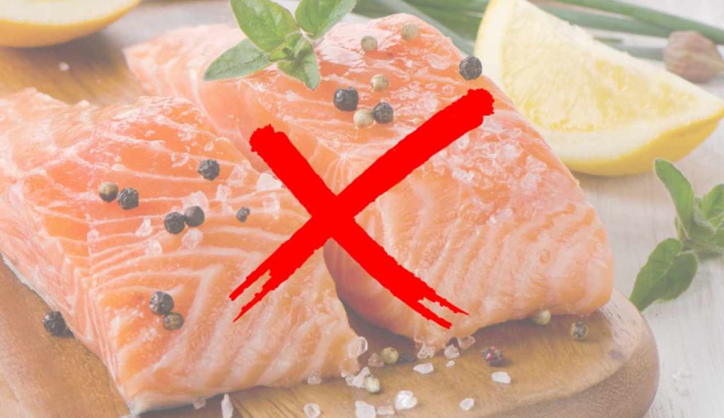 Illustrazione di un salmone norvegese (Canva FOTO) - marinecue.it