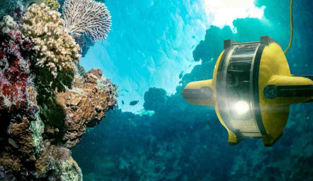 Illustrazione di una spedizione (Canva FOTO) - marinecue.it