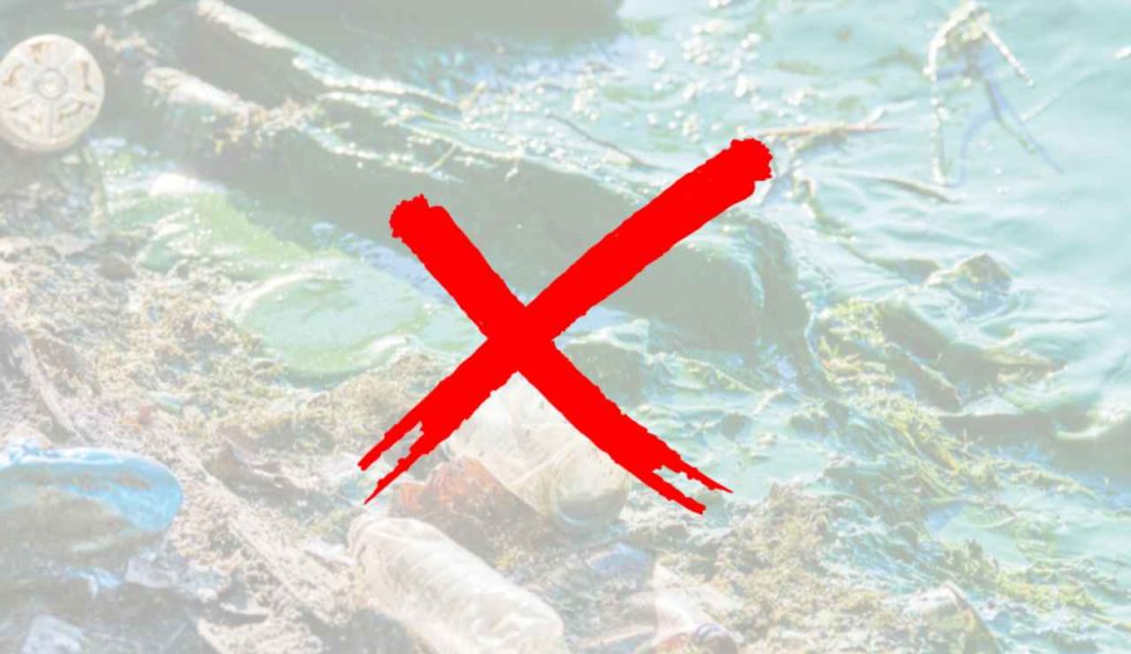 Illustrazione di un'alga tossica (Canva FOTO) - marinecue.it