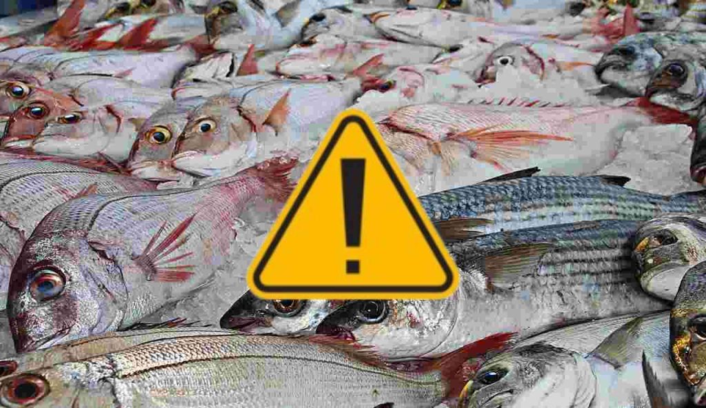 Pesce e pericoli (Pixabay foto) - www.marinecue.it