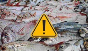 Pesce e pericoli (Pixabay foto) - www.marinecue.it
