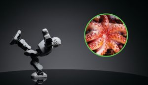 Robot e tentacoli