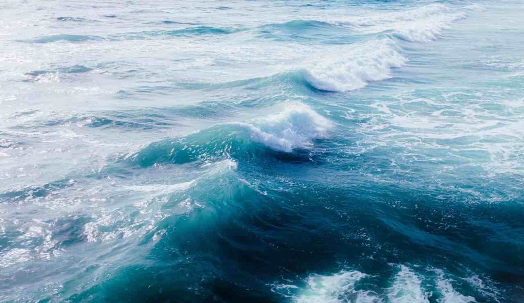 L'oceano pacifico ha cambiato colore