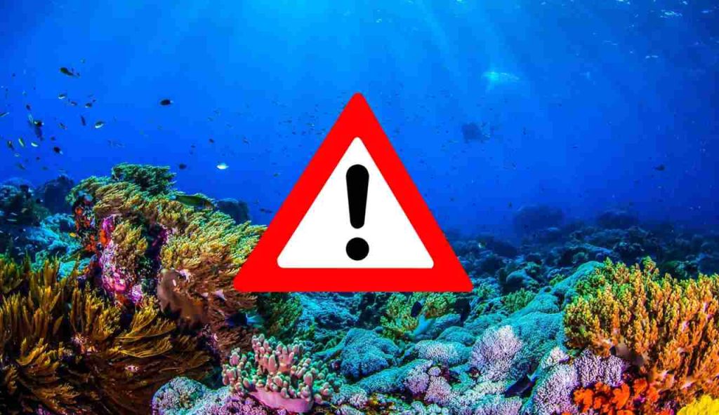 Allarme in tutti gli oceani