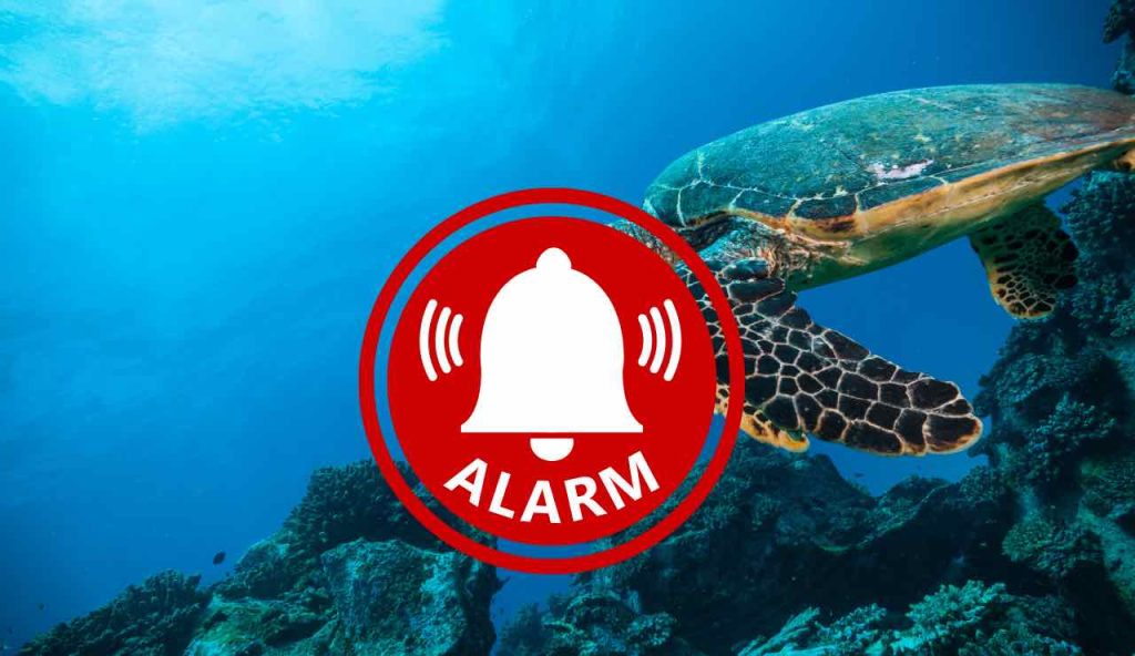 Allarme oceano