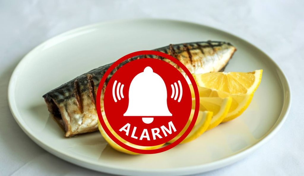 Allarme sgombro