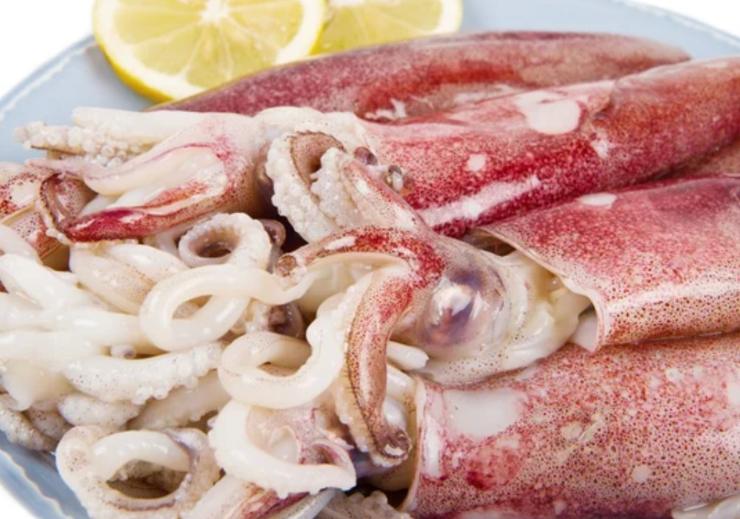 Calamari freschi (Depositphotos foto) - www.marinecue.it