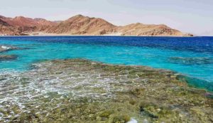 Illustrazione del Mar Rosso (Canva FOTO) - marinecue.it